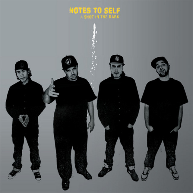 A Shot in the Dark cover art