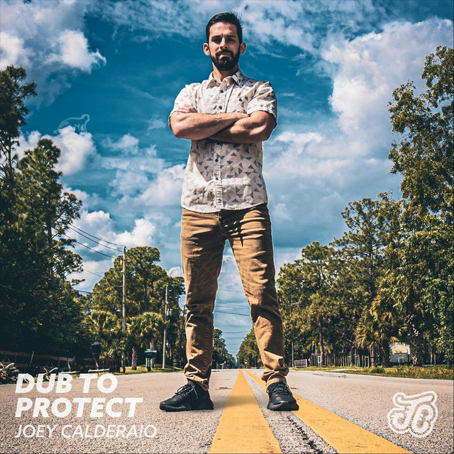 Dub to Protect