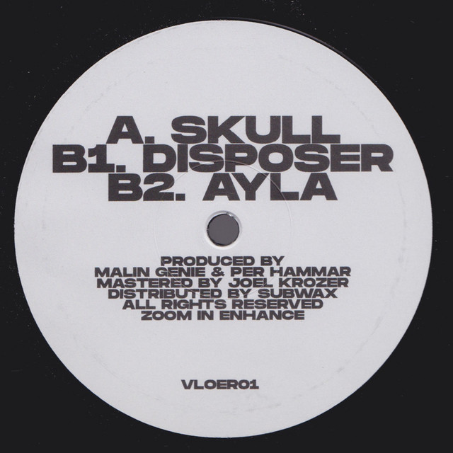 Skull cover art