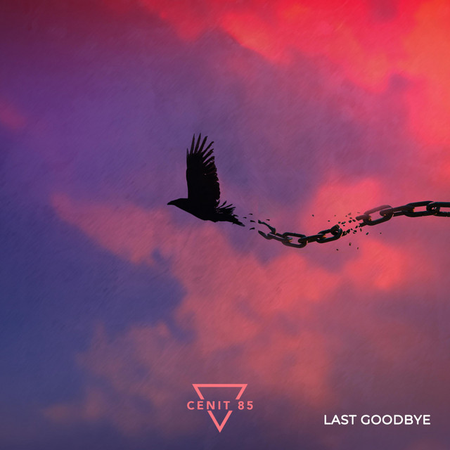 Last Goodbye - Single - Cenit85 | Spotify