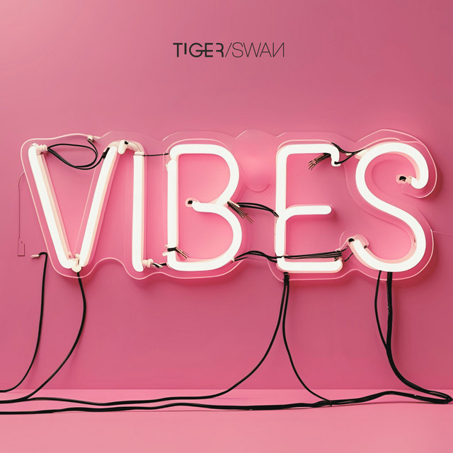 VIBES cover