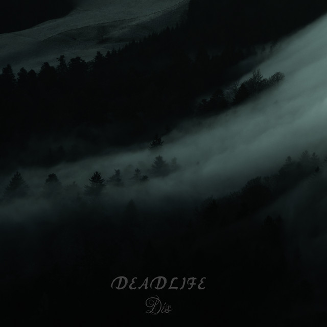 Dis album image