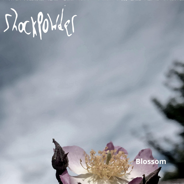 Blossom (single)