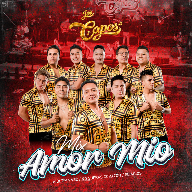 Mix: Amor Mio / La Última Vez / No Sufras Corazón / El Adiós (En Vivo) album image