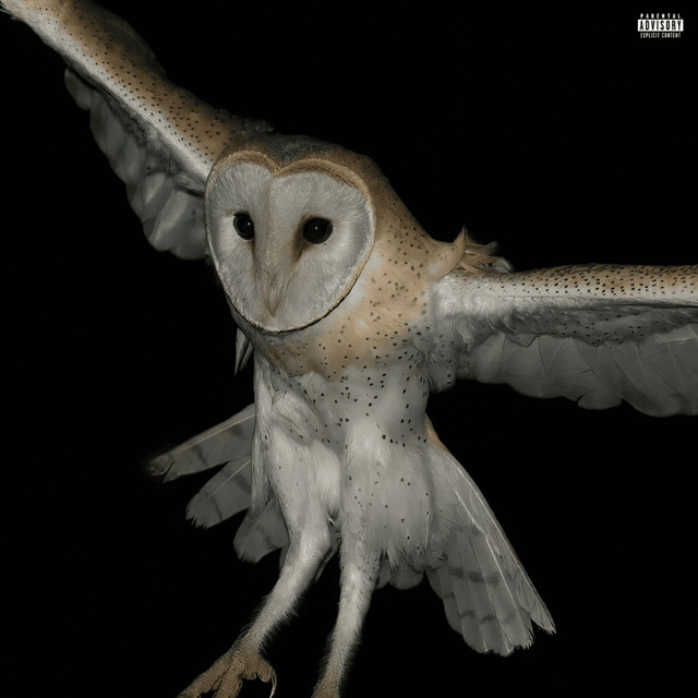 Owleyes cover art