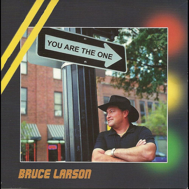 You Are the One - Album by Bruce Larson | Spotify