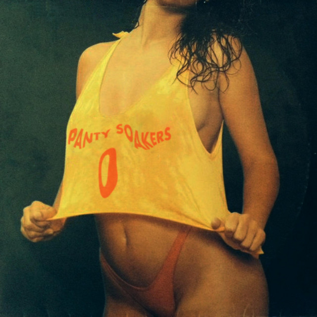 Panty Soakers 0 cover art