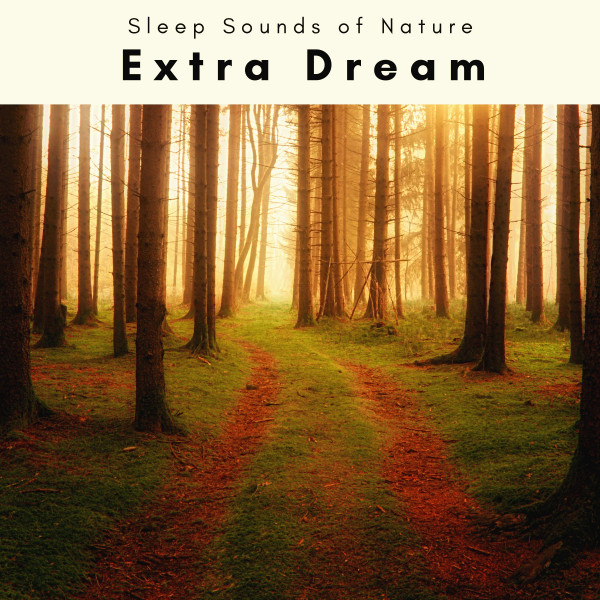 1 Extra Dream - Album by Sleep Sounds of Nature | Spotify