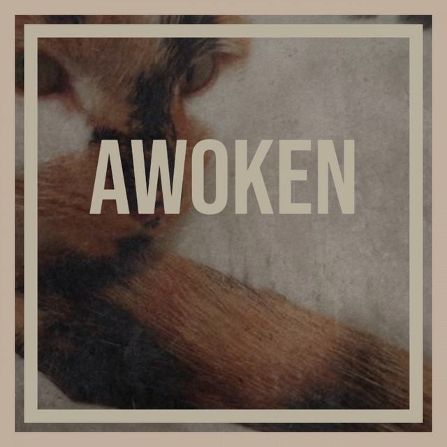 Awoken - Compilation by Various Artists | Spotify