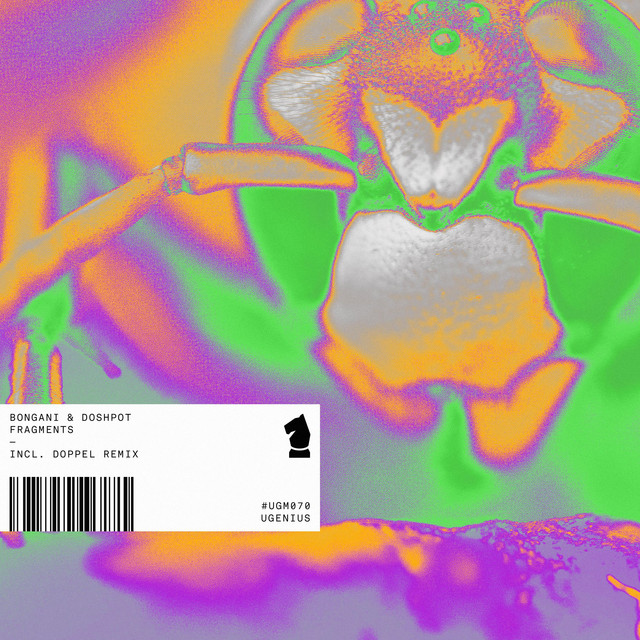 Fragments cover art