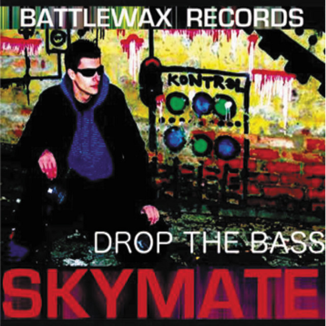 Skymate LP cover art