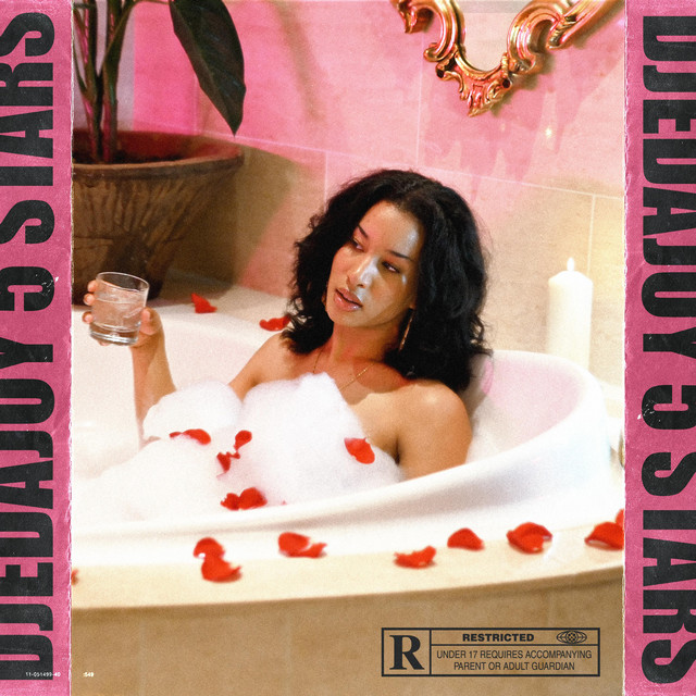 5 Stars cover art