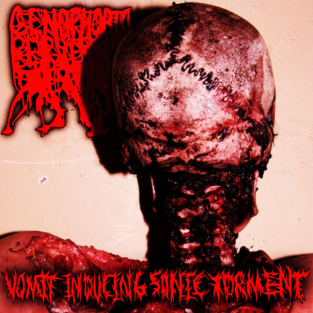 Vomit Inducing Sonic Torment cover
