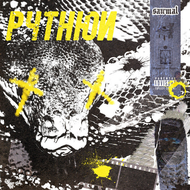 Python cover art