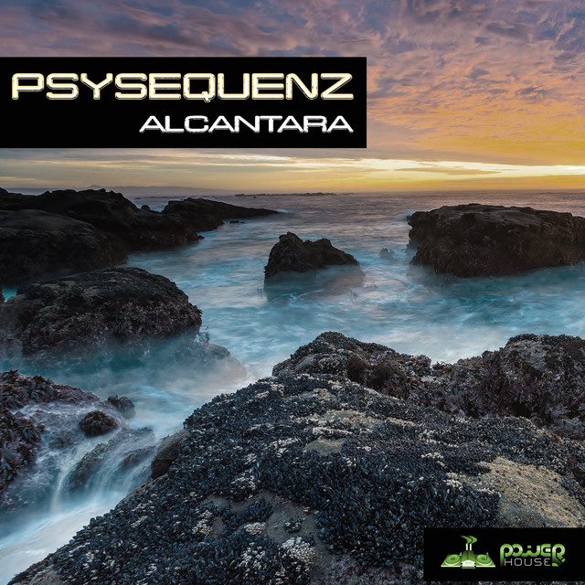 Alcantara cover