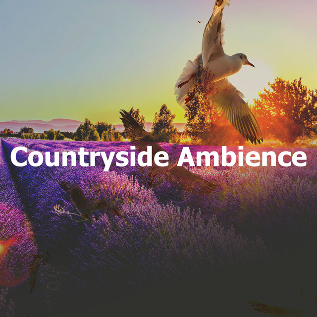 Countryside Ambience cover art
