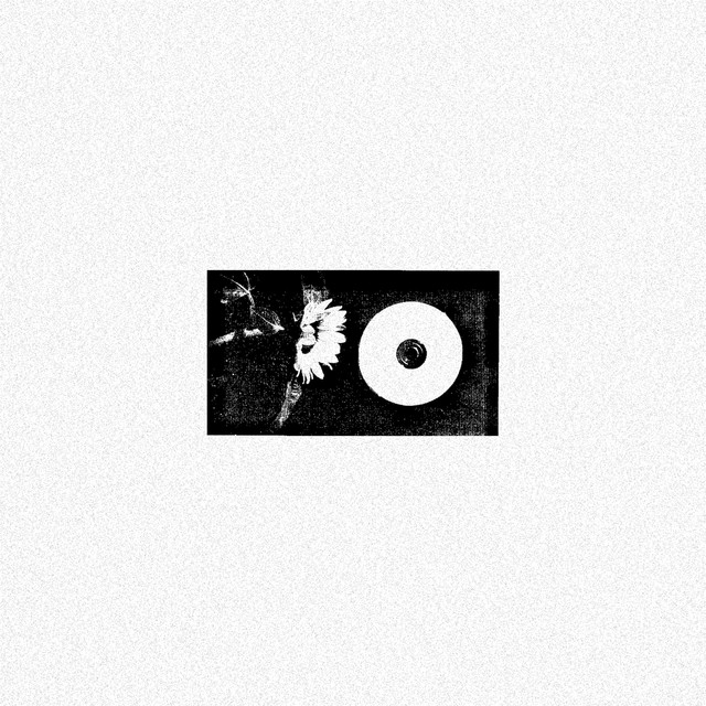 Neglected cover art