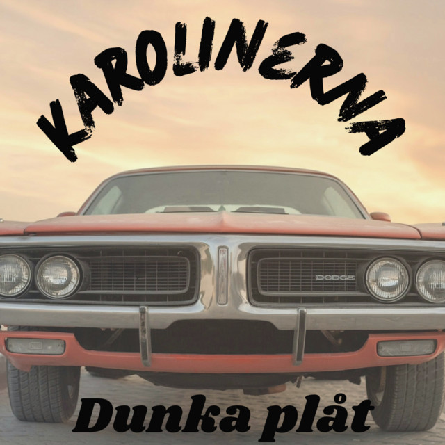 Dunka plåt cover