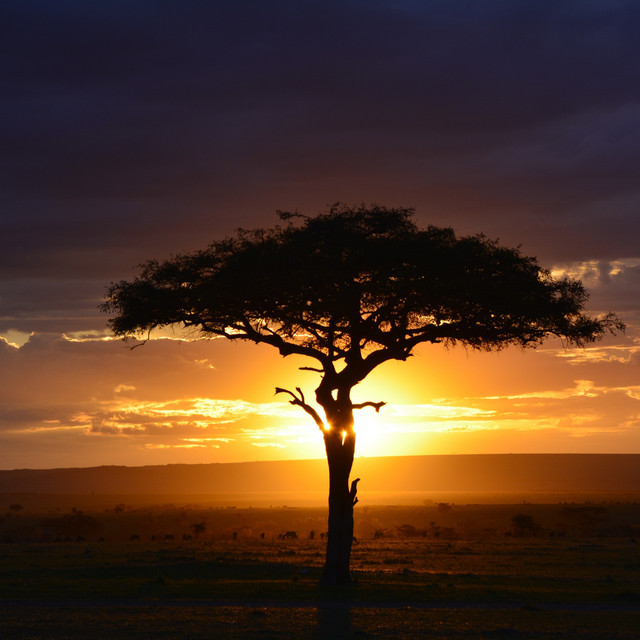 Africa