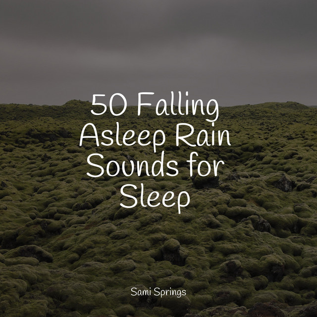 50 Falling Asleep Rain Sounds for Sleep - Album by Spa & Spa | Spotify
