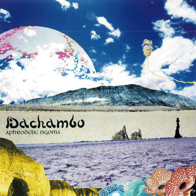 aphrodelic ngoma cover