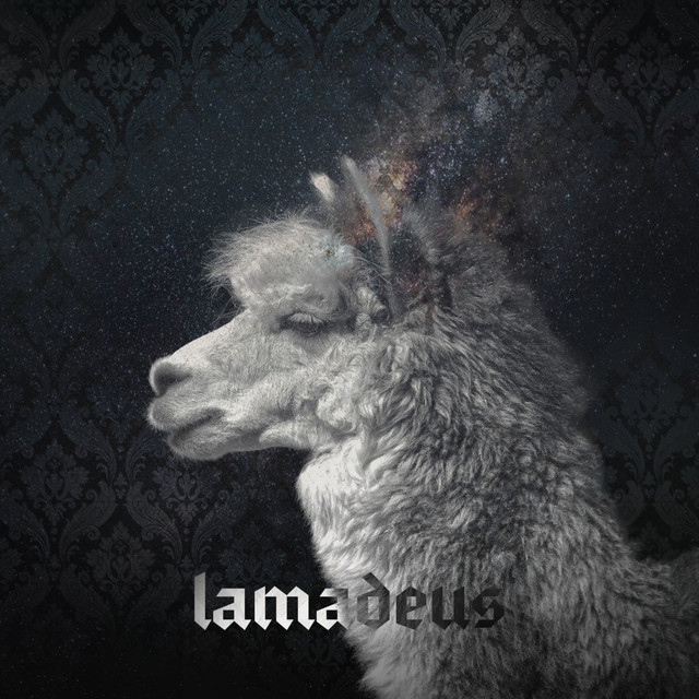 Amadé cover art