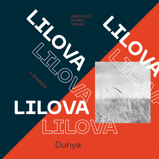 Dunya - Haris Kate remix album art