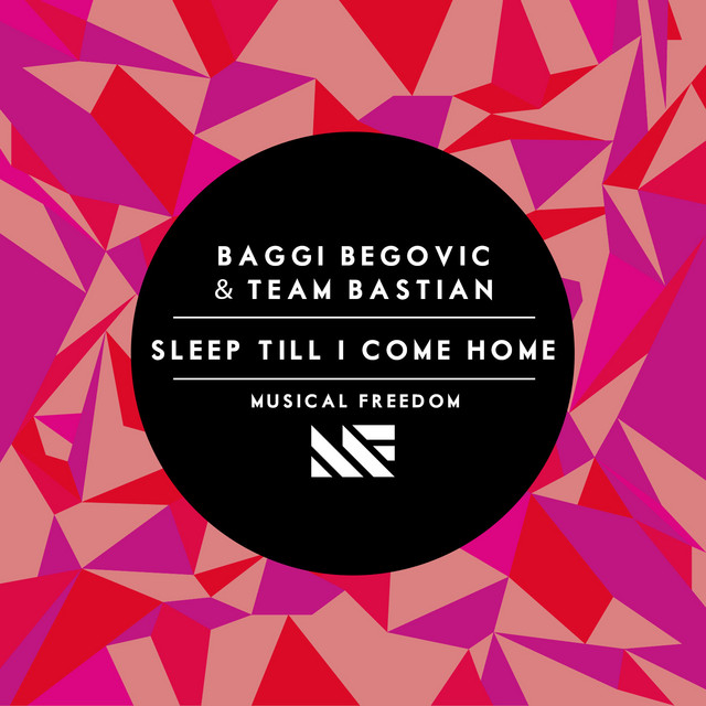 Sleep Till I Come Home - Original Mix