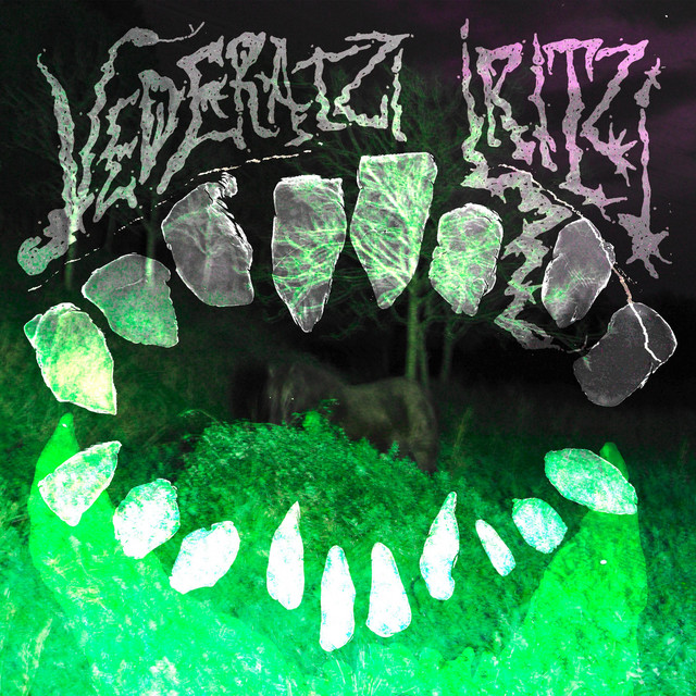 Vederatzi Iritzi cover art