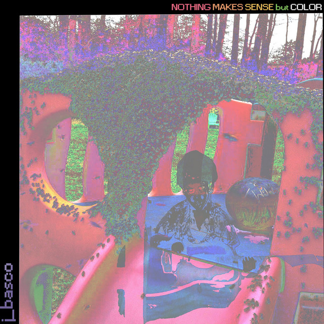 Nothing Makes Sense but Color cover art