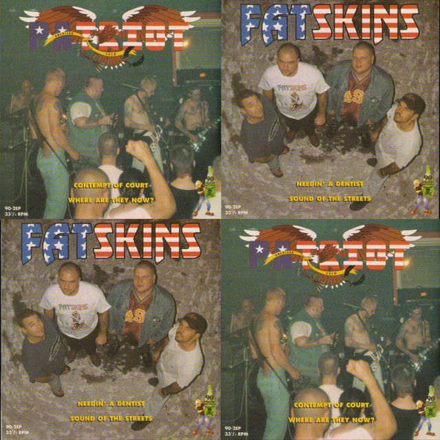Patriot/Fatskins cover