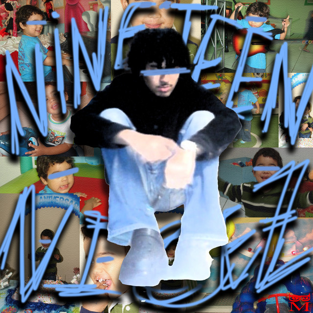 Nineteen Nicez cover art