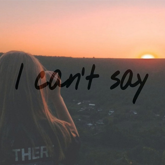 Обкладинка we'll!tonight — I Can't Say