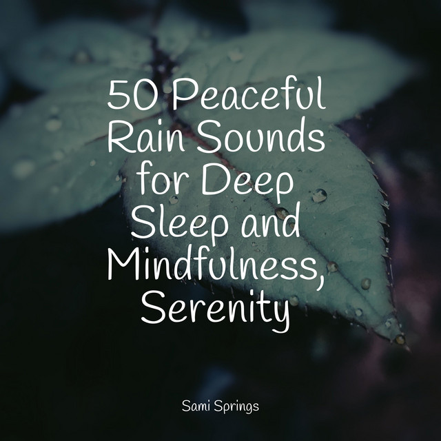 50 Peaceful Rain Sounds for Deep Sleep and Mindfulness, Serenity ...