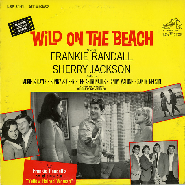 Wild On the Beach (Original Motion Picture Soundtrack) cover
