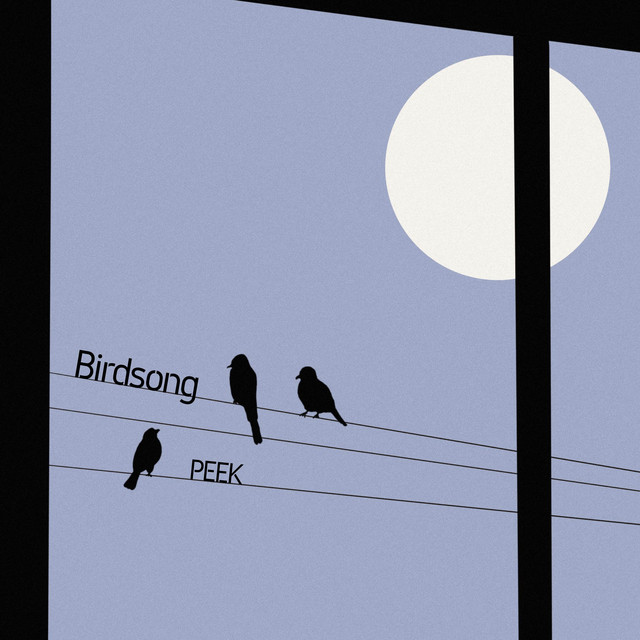 Birdsong (single)