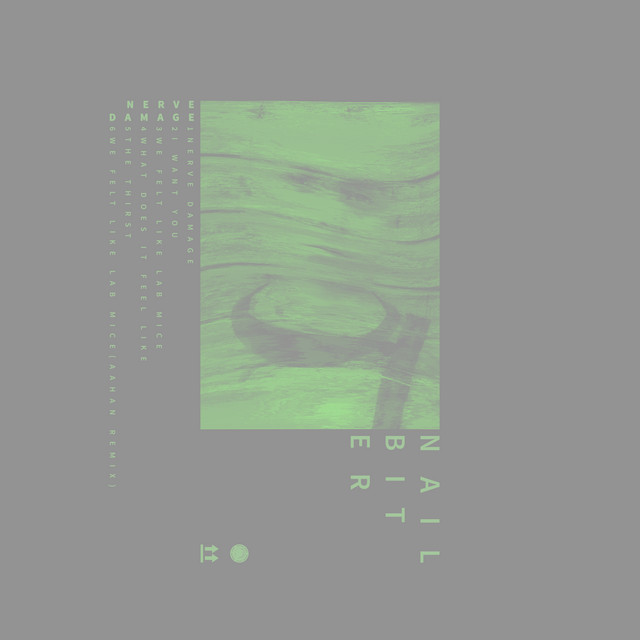 Nerve Damage album art