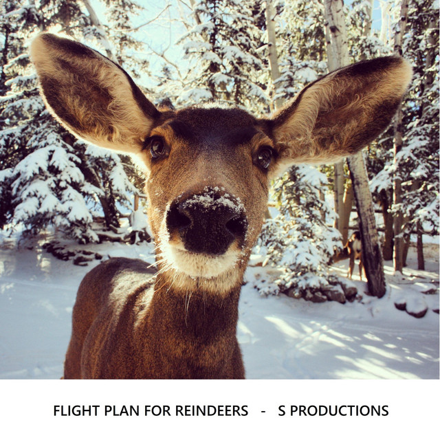 Flight Plan For Reindeers