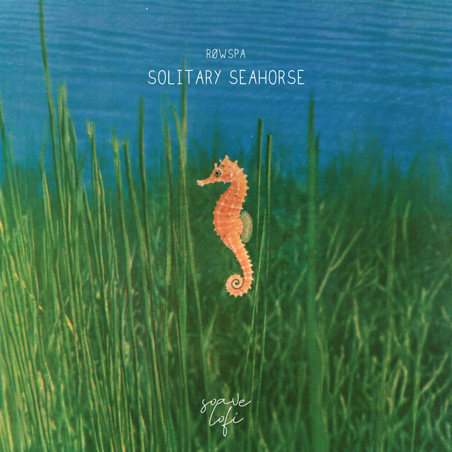 Solitary Seahorse album image