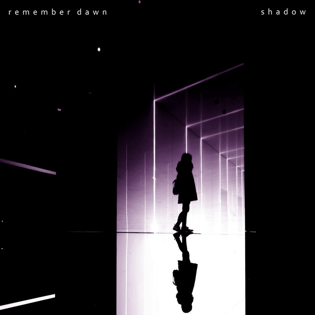 Shadow cover art