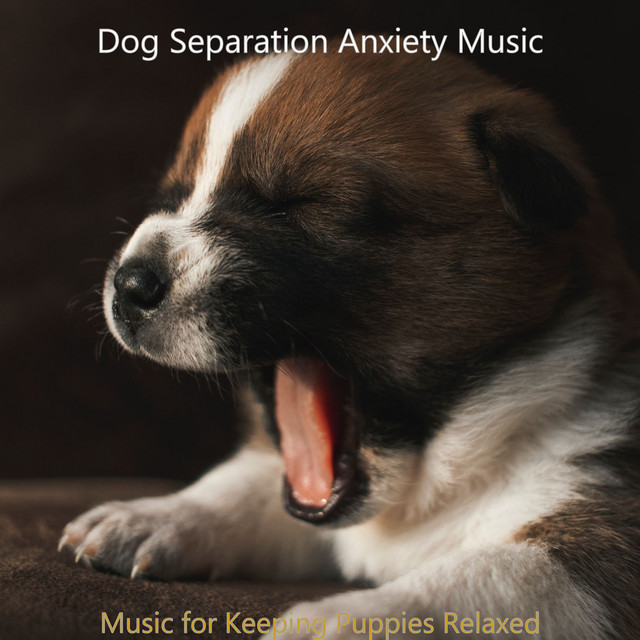Music for Keeping Puppies Relaxed cover art