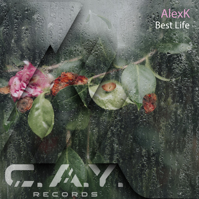 Обкладинка: Best Life - original mix — AlexK