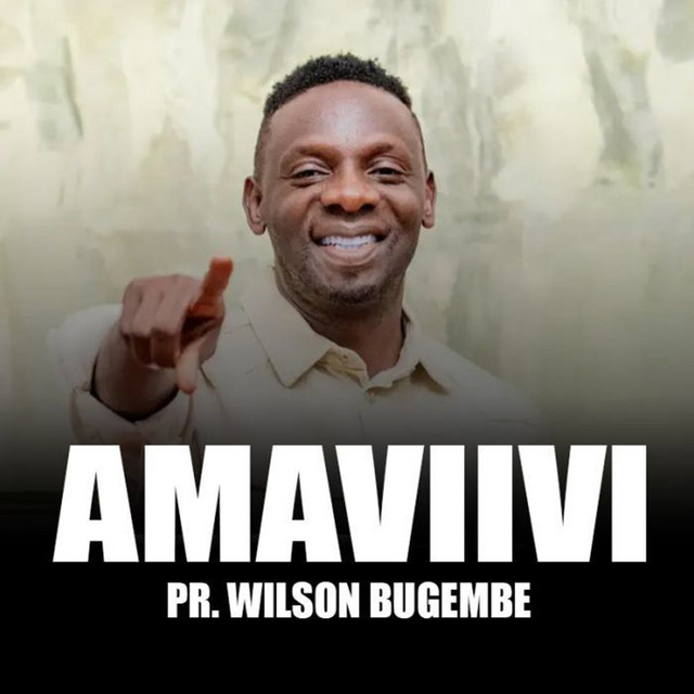 Maviivi cover art
