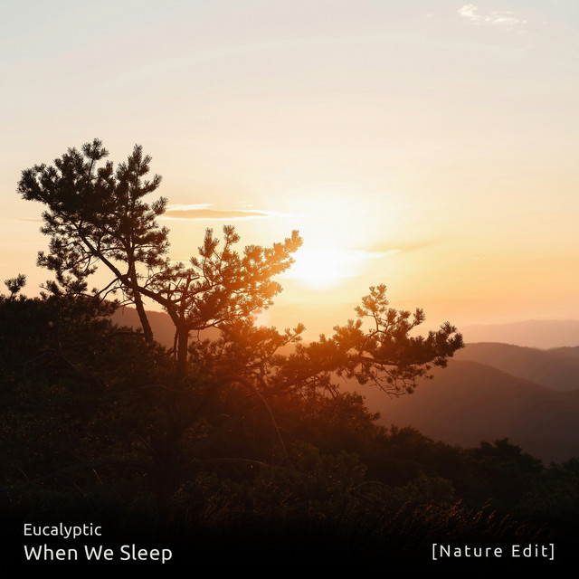 When We Sleep (Nature Edit) cover art