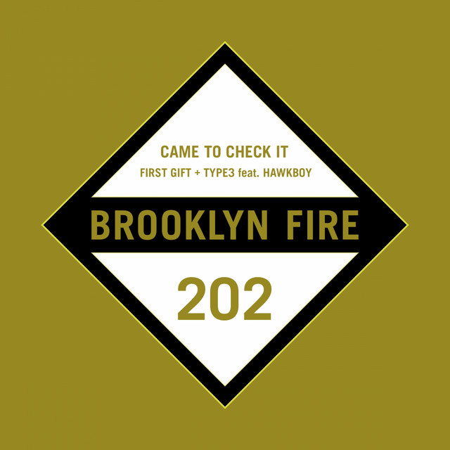 Came to Check It cover