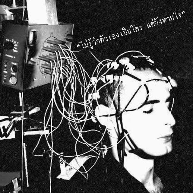 ไม่รู้ว่าตัวเองเป็นใคร แต่ยังหายใจ cover art
