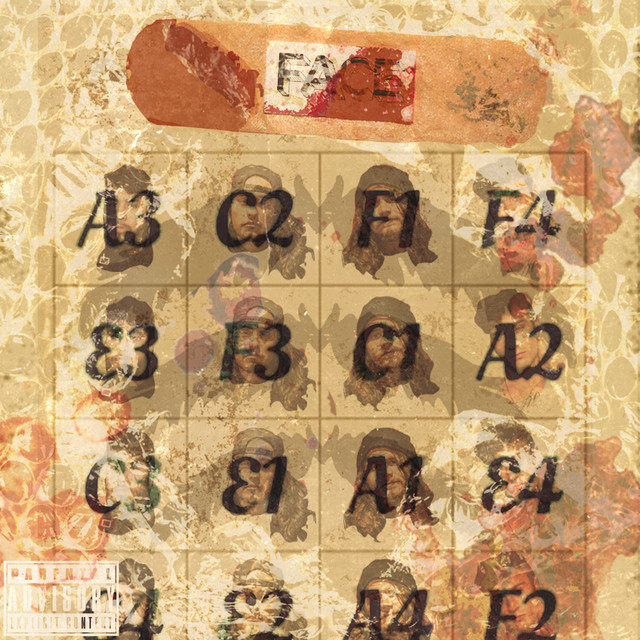 Face cover art