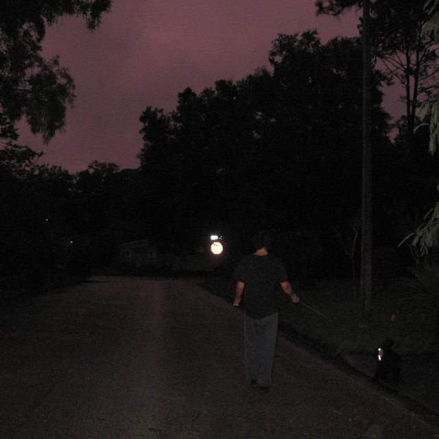 self Destructive cover art