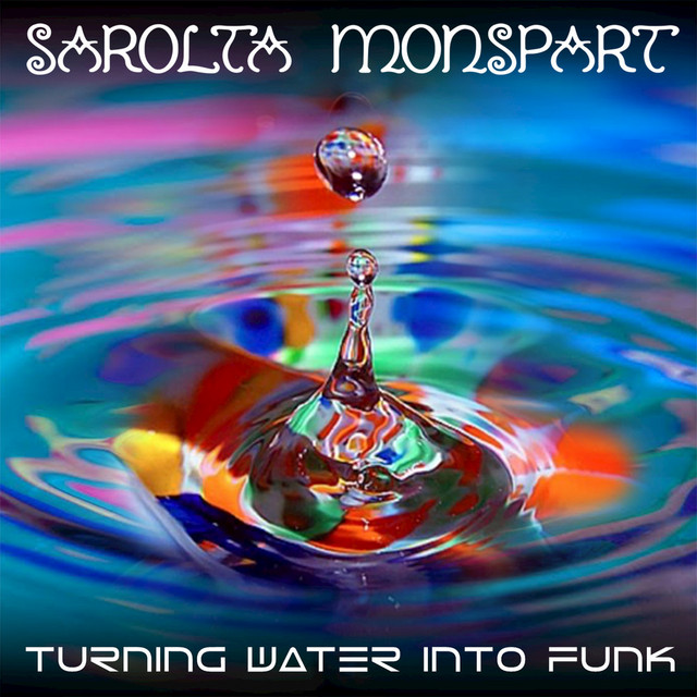 Turning Water into Funk cover art