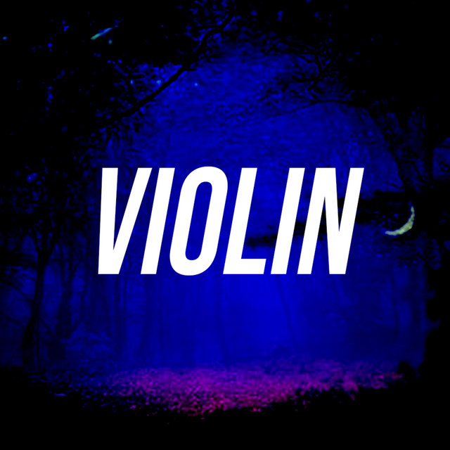 VIOLIN cover art